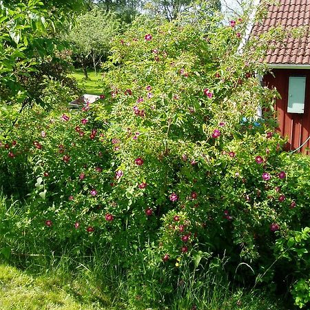 Langesater B&B Lerdala Екстериор снимка